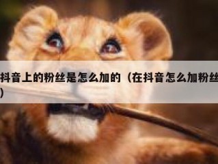 抖音上的粉丝是怎么加的（在抖音怎么加粉丝）