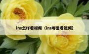 ins怎样看视频（ins哪里看视频）
