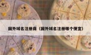国外域名注册商（国外域名注册哪个便宜）
