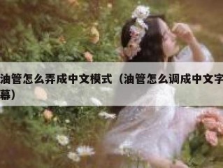 油管怎么弄成中文模式（油管怎么调成中文字幕）