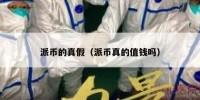 派币的真假（派币真的值钱吗）