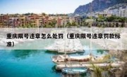 重庆限号违章怎么处罚（重庆限号违章罚款标准）