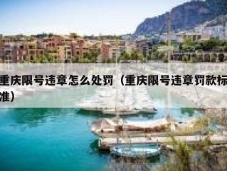 重庆限号违章怎么处罚（重庆限号违章罚款标准）