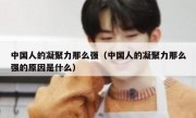 中国人的凝聚力那么强（中国人的凝聚力那么强的原因是什么）