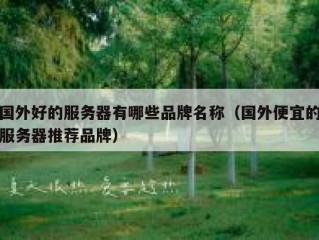 国外好的服务器有哪些品牌名称（国外便宜的服务器推荐品牌）
