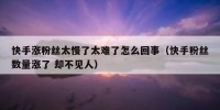快手涨粉丝太慢了太难了怎么回事（快手粉丝数量涨了 却不见人）