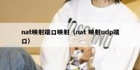 nat映射端口映射（nat 映射udp端口）