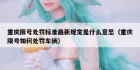 重庆限号处罚标准最新规定是什么意思（重庆限号如何处罚车辆）