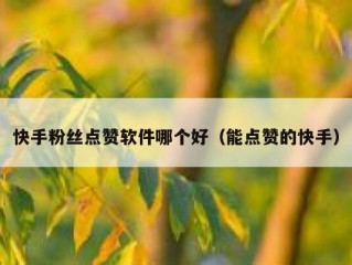 快手粉丝点赞软件哪个好（能点赞的快手）