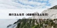 限行怎么处罚（成都限行怎么处罚）