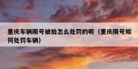 重庆车辆限号被拍怎么处罚的呢（重庆限号如何处罚车辆）
