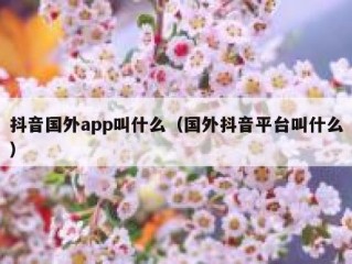 抖音国外app叫什么（国外抖音平台叫什么）