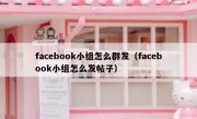 facebook小组怎么群发（facebook小组怎么发帖子）
