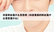抖音粉丝是什么意思啊（抖音里面的粉丝是什么意思是什么）