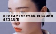 重庆限号违规了怎么处罚车辆（重庆车辆限号违章怎么处罚）