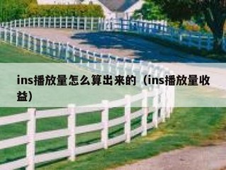 ins播放量怎么算出来的（ins播放量收益）