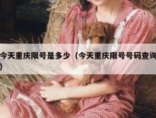 今天重庆限号是多少（今天重庆限号号码查询）