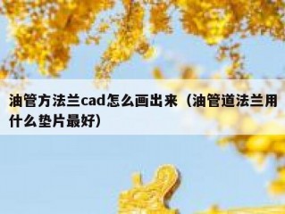 油管方法兰cad怎么画出来（油管道法兰用什么垫片最好）
