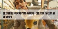 重庆限行如何处罚最新规定（重庆限行政策最新规定）
