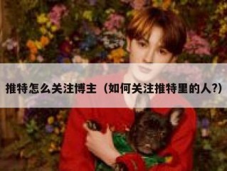 推特怎么关注博主（如何关注推特里的人?）