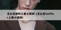 怎么在推特上看小视频（怎么在twitter上看小视频）