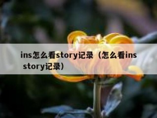 ins怎么看story记录（怎么看ins story记录）