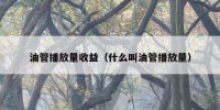 油管播放量收益（什么叫油管播放量）