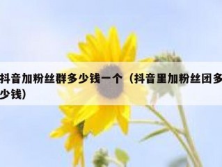 抖音加粉丝群多少钱一个（抖音里加粉丝团多少钱）