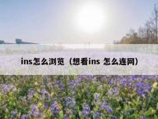 ins怎么浏览（想看ins 怎么连网）