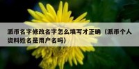 派币名字修改名字怎么填写才正确（派币个人资料姓名是用户名吗）