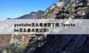 youtube怎么看谁赞了我（youtube怎么看点赞记录）