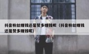 抖音粉丝赚钱还是赞多赚钱呢（抖音粉丝赚钱还是赞多赚钱呢）