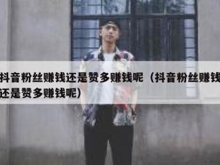 抖音粉丝赚钱还是赞多赚钱呢（抖音粉丝赚钱还是赞多赚钱呢）