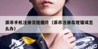 派币手机注册流程图片（派币注册出现错误怎么办）