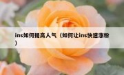 ins如何提高人气（如何让ins快速涨粉）