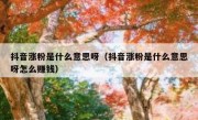 抖音涨粉是什么意思呀（抖音涨粉是什么意思呀怎么赚钱）