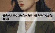 重庆误入限行区域怎么免罚（重庆限行违规怎么罚）