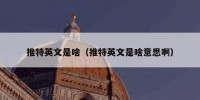 推特英文是啥（推特英文是啥意思啊）