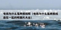 电线为什么是两根线呢（电线为什么是两根线连在一起的呢图片大全）
