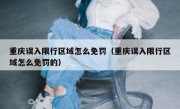 重庆误入限行区域怎么免罚（重庆误入限行区域怎么免罚的）