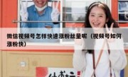 微信视频号怎样快速涨粉丝量呢（视频号如何涨粉快）