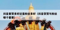 抖音里赞多好还是粉丝多好（抖音获赞与粉丝哪个重要）