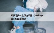 如何在ins上发gif图（instagram怎么发图片）