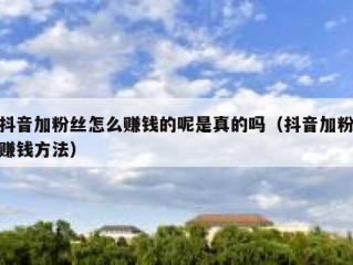 抖音加粉丝怎么赚钱的呢是真的吗（抖音加粉赚钱方法）