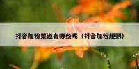 抖音加粉渠道有哪些呢（抖音加粉规则）