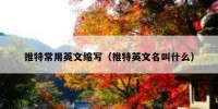 推特常用英文缩写（推特英文名叫什么）