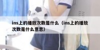 ins上的播放次数是什么（ins上的播放次数是什么意思）