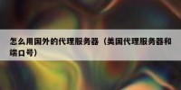 怎么用国外的代理服务器（美国代理服务器和端口号）