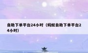 自助下单平台24小时（蚂蚁自助下单平台24小时）