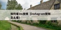 如何看ins视频（instagram视频怎么看）